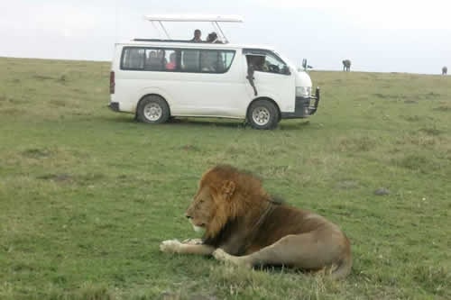 africa magical scenery tours and safaris