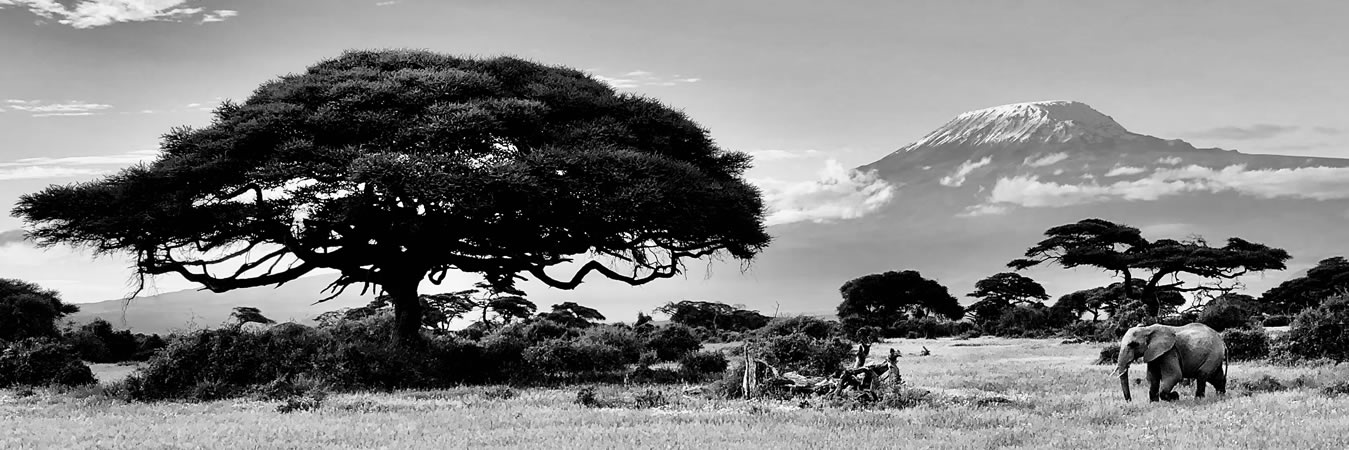 kenya tanzania tours and safaris